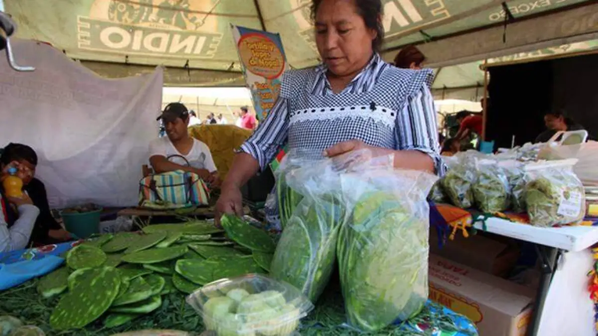 El nopal y sus beneficios en el organismo